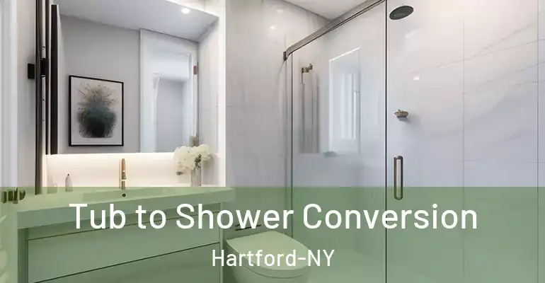 inner Bathroom imggen Tub to Shower Conversion Hartford-NY