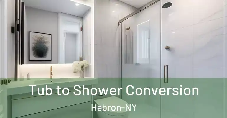 inner Bathroom imggen Tub to Shower Conversion Hebron-NY