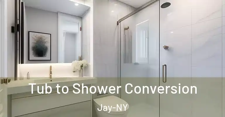 inner Bathroom imggen Tub to Shower Conversion Jay-NY
