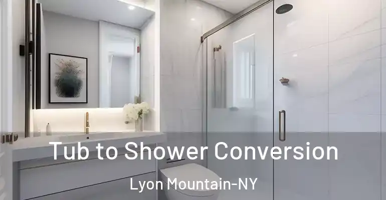 inner Bathroom imggen Tub to Shower Conversion Lyon Mountain-NY