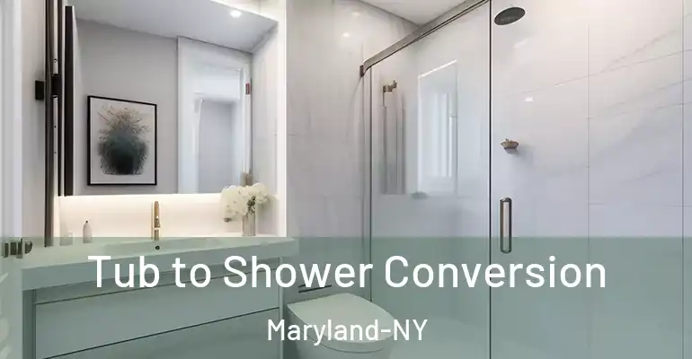 inner Bathroom imggen Tub to Shower Conversion Maryland-NY