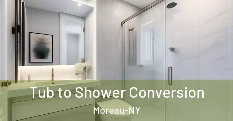 inner Bathroom imggen Tub to Shower Conversion Moreau-NY
