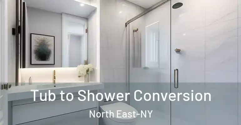 inner Bathroom imggen Tub to Shower Conversion North East-NY