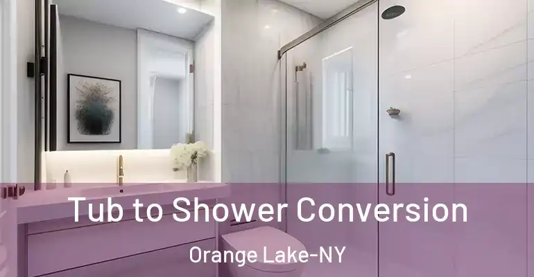 inner Bathroom imggen Tub to Shower Conversion Orange Lake-NY
