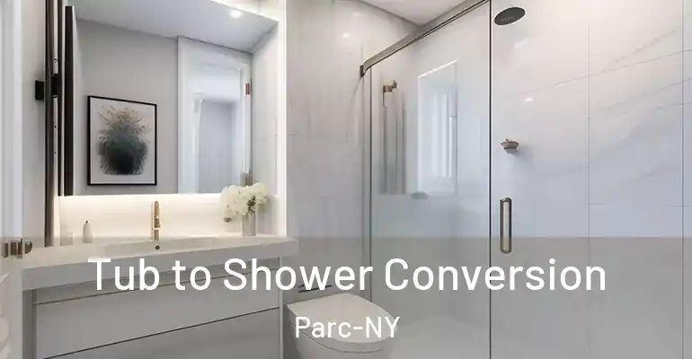 inner Bathroom imggen Tub to Shower Conversion Parc-NY
