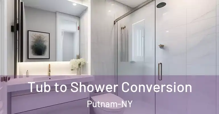 inner Bathroom imggen Tub to Shower Conversion Putnam-NY