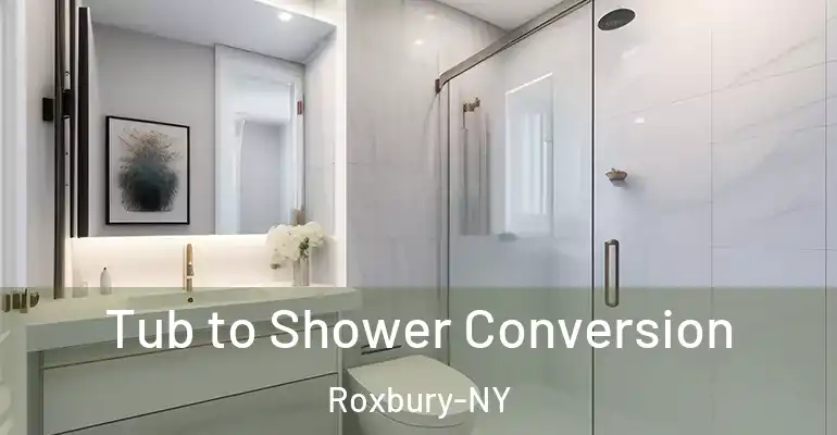 inner Bathroom imggen Tub to Shower Conversion Roxbury-NY