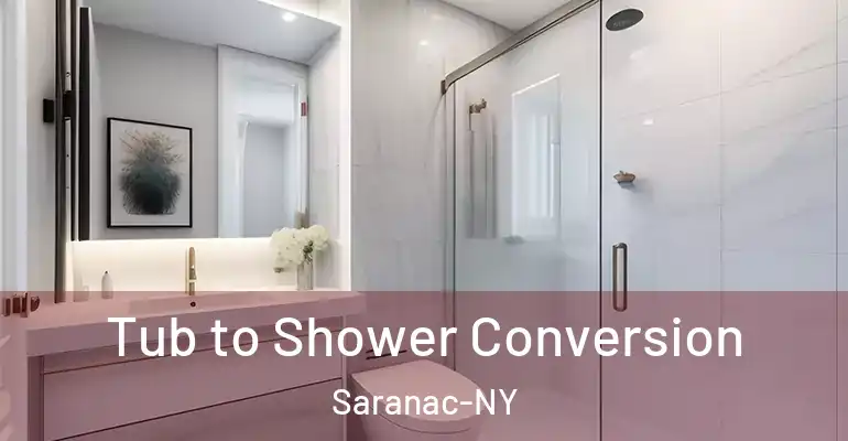 inner Bathroom imggen Tub to Shower Conversion Saranac-NY