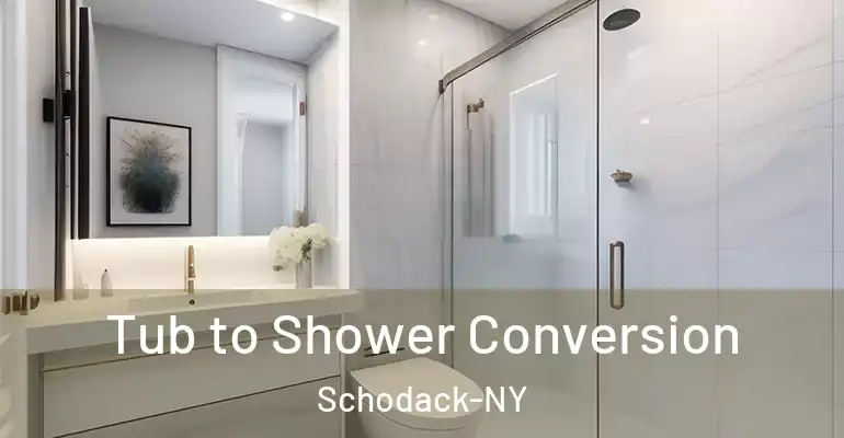inner Bathroom imggen Tub to Shower Conversion Schodack-NY
