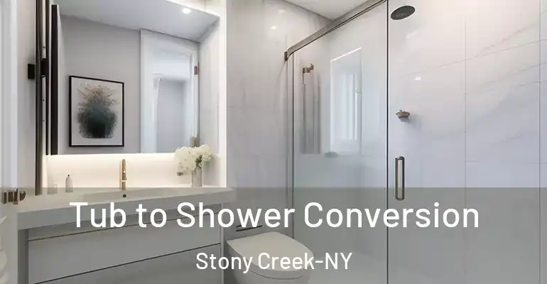 inner Bathroom imggen Tub to Shower Conversion Stony Creek-NY