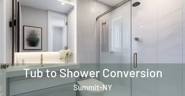 inner Bathroom imggen Tub to Shower Conversion Summit-NY