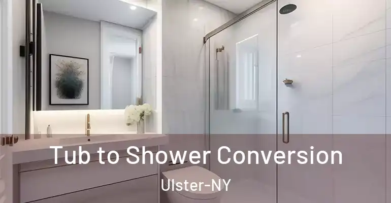 inner Bathroom imggen Tub to Shower Conversion Ulster-NY
