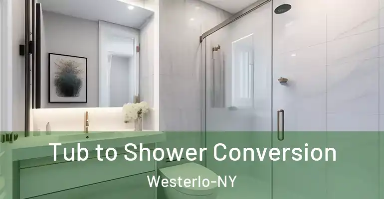 inner Bathroom imggen Tub to Shower Conversion Westerlo-NY