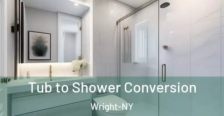 inner Bathroom imggen Tub to Shower Conversion Wright-NY
