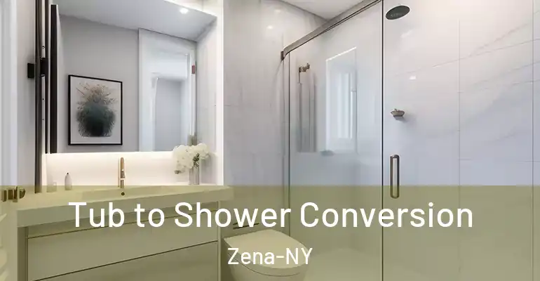 inner Bathroom imggen Tub to Shower Conversion Zena-NY