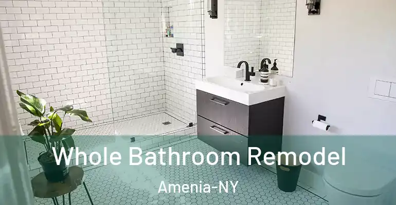 inner Bathroom imggen Whole Bathroom Remodel Amenia-NY