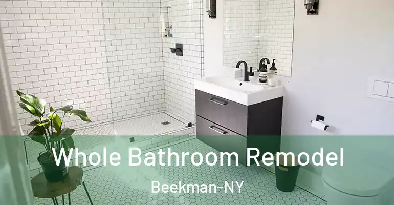 inner Bathroom imggen Whole Bathroom Remodel Beekman-NY