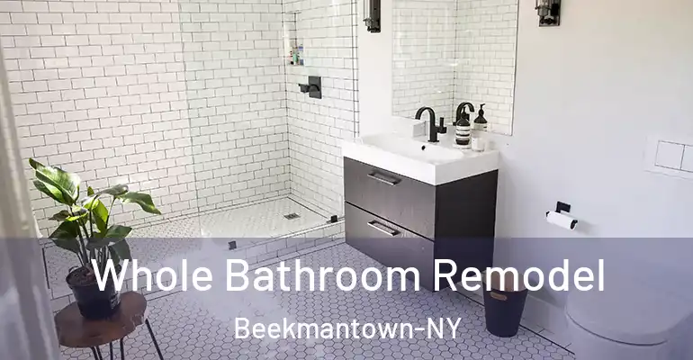 inner Bathroom imggen Whole Bathroom Remodel Beekmantown-NY