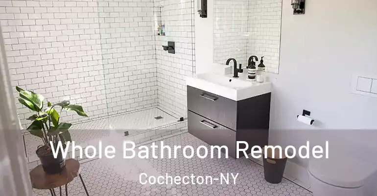 inner Bathroom imggen Whole Bathroom Remodel Cochecton-NY