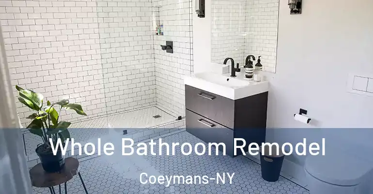 inner Bathroom imggen Whole Bathroom Remodel Coeymans-NY