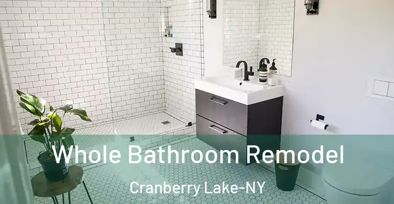 inner Bathroom imggen Whole Bathroom Remodel Cranberry Lake-NY