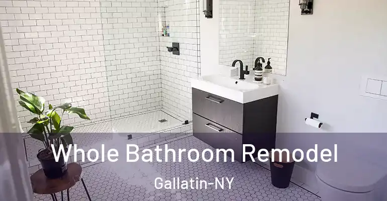 inner Bathroom imggen Whole Bathroom Remodel Gallatin-NY