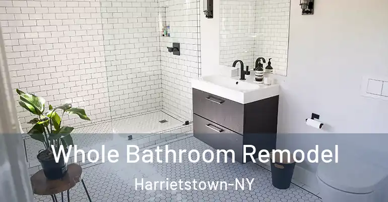 inner Bathroom imggen Whole Bathroom Remodel Harrietstown-NY