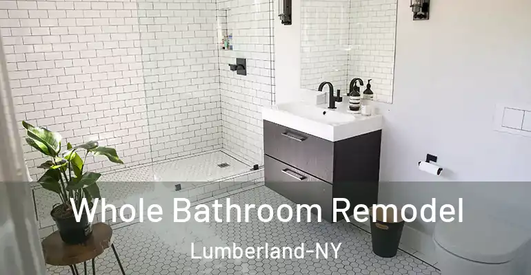 inner Bathroom imggen Whole Bathroom Remodel Lumberland-NY