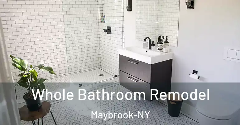 inner Bathroom imggen Whole Bathroom Remodel Maybrook-NY