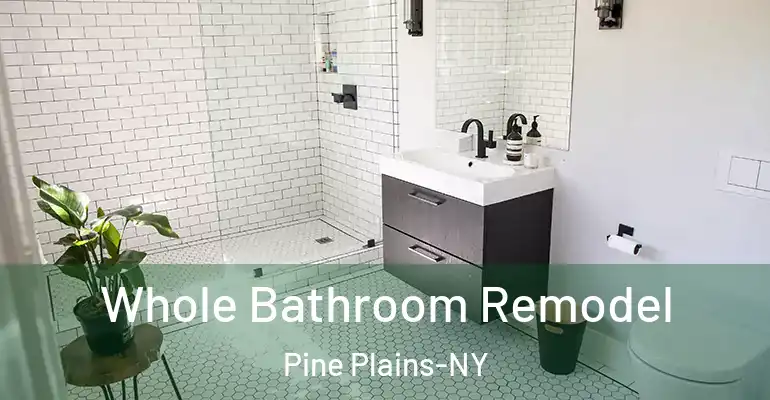inner Bathroom imggen Whole Bathroom Remodel Pine Plains-NY
