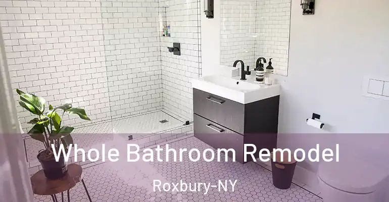 inner Bathroom imggen Whole Bathroom Remodel Roxbury-NY