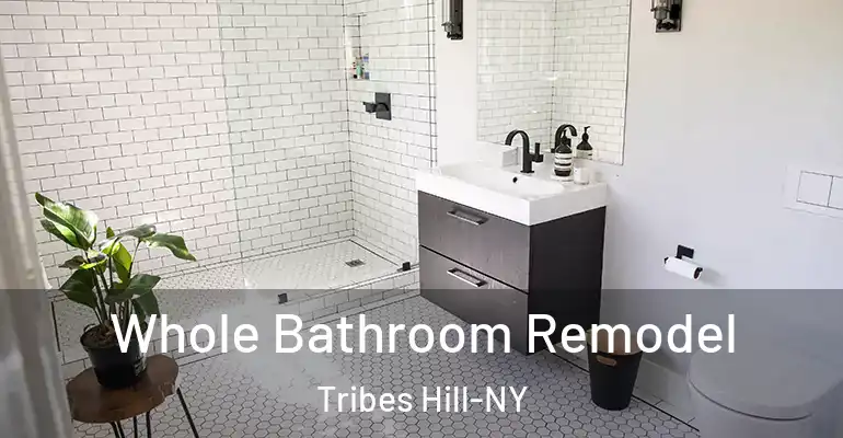 inner Bathroom imggen Whole Bathroom Remodel Tribes Hill-NY