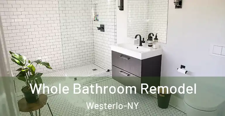 inner Bathroom imggen Whole Bathroom Remodel Westerlo-NY